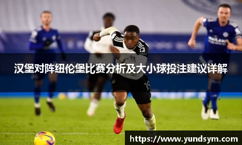 汉堡对阵纽伦堡比赛分析及大小球投注建议详解